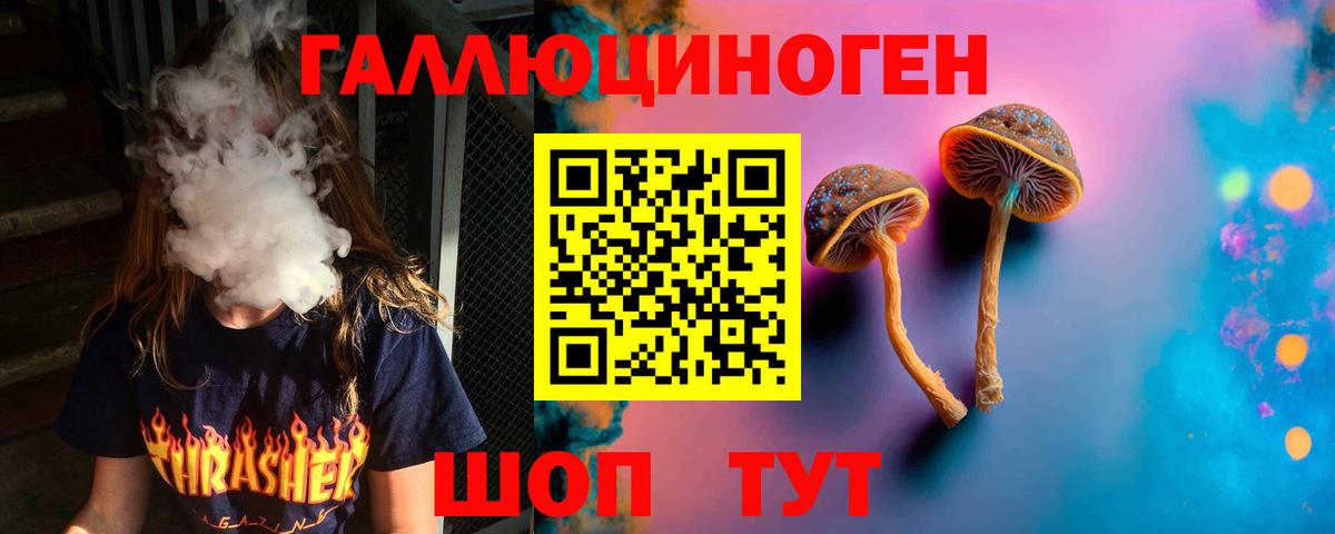 Псилоцибиновые грибы мухоморы Мурманск