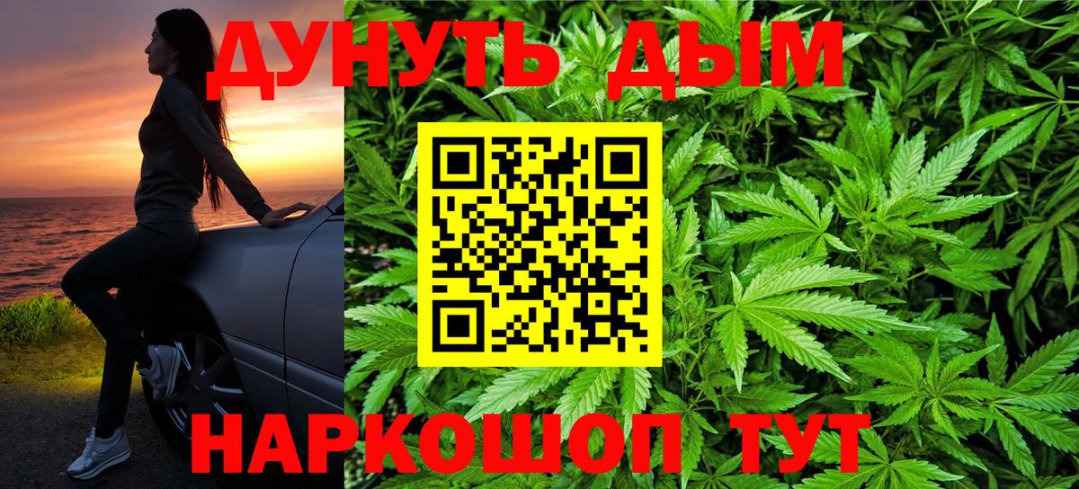 Конопля конопля Мурманск